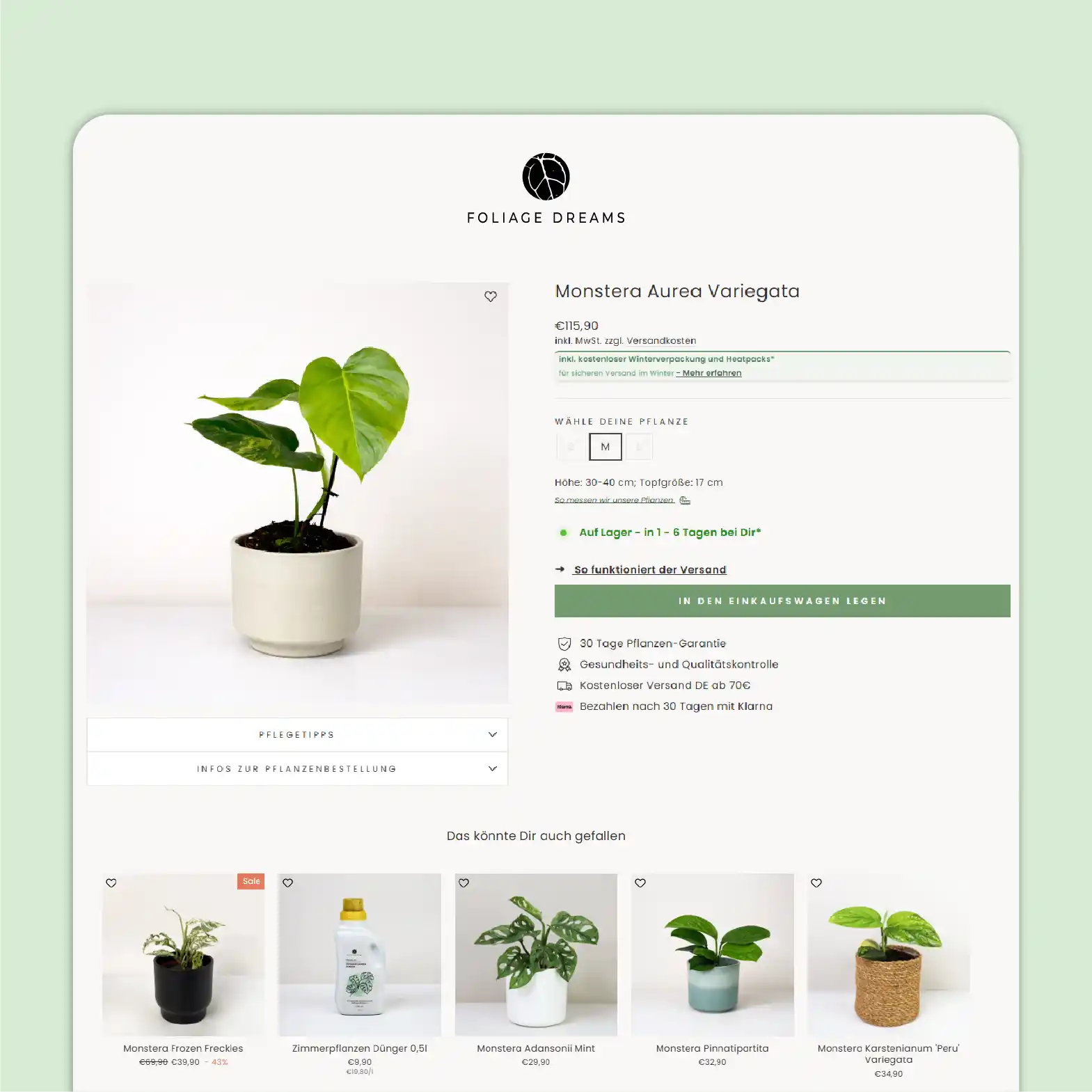 Foliage Dreams Branding Detail 1