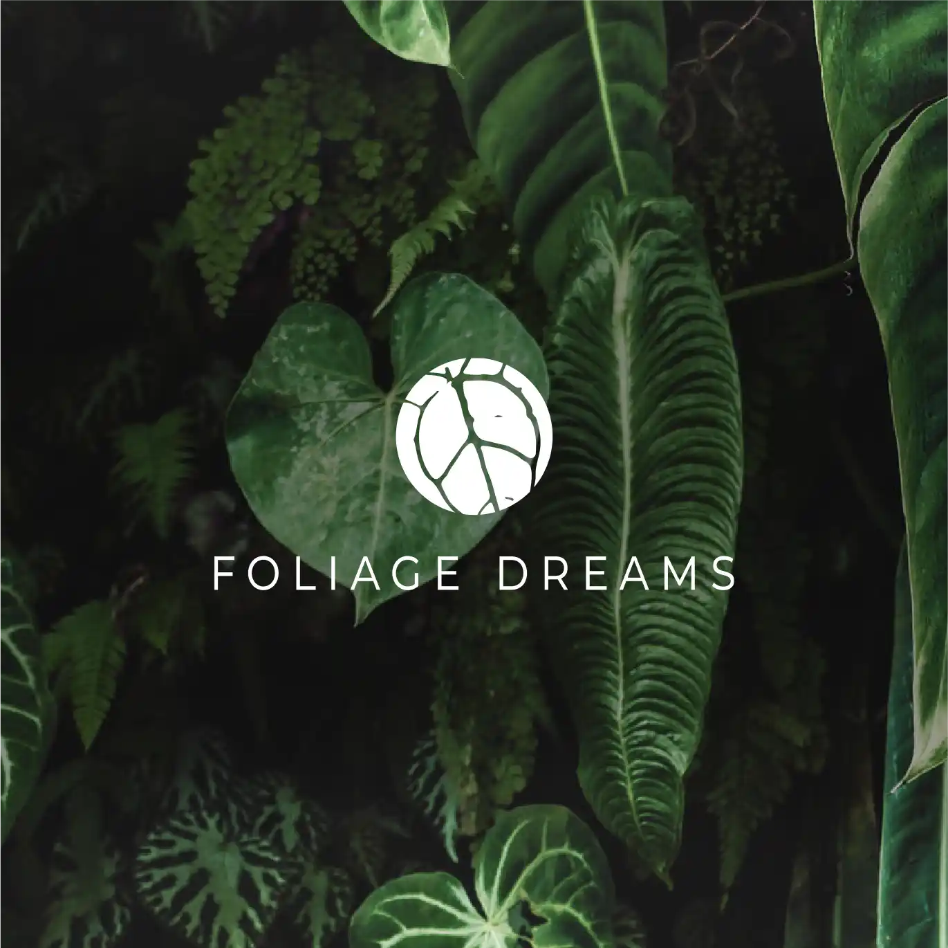 Foliage Dreams Product View