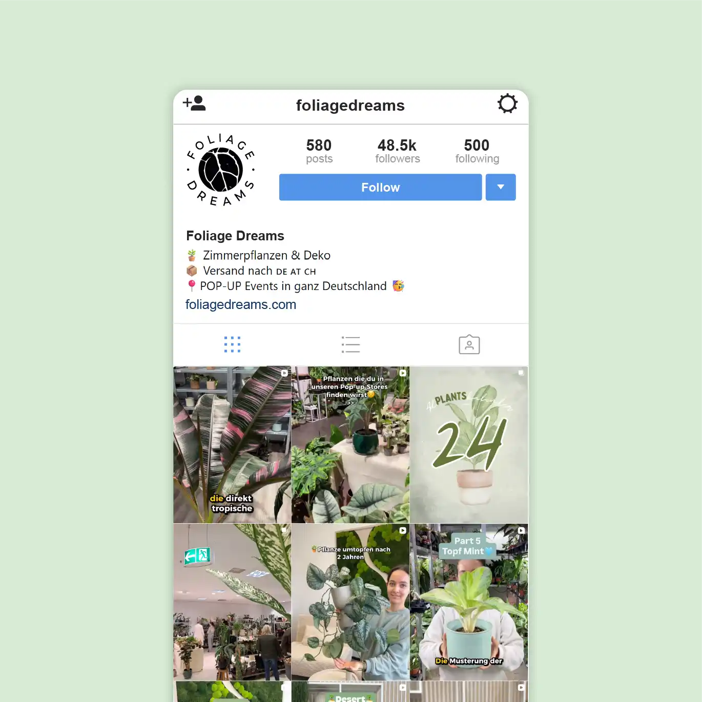 Foliage Dreams Detail 6