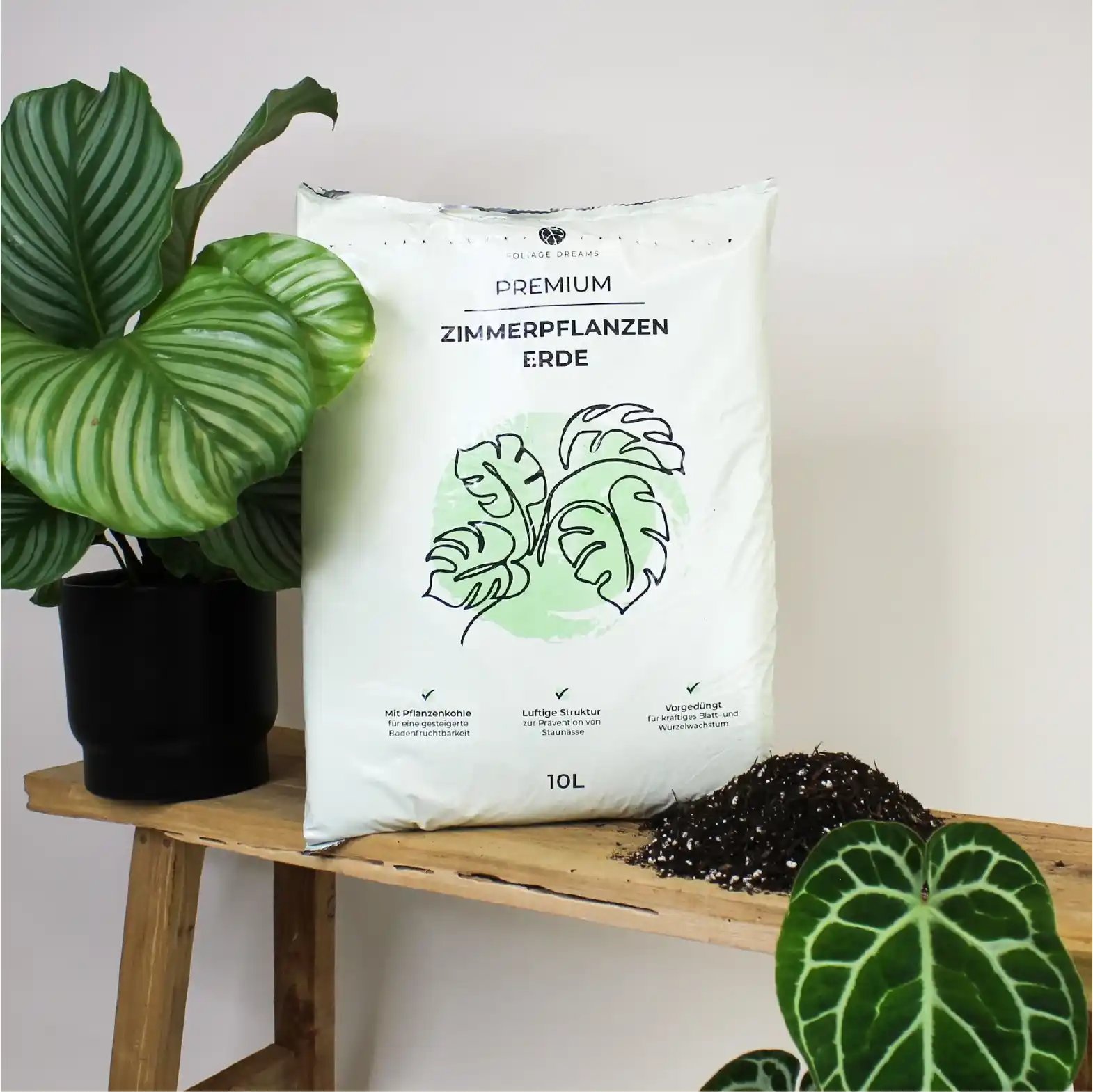 Foliage Dreams Detail 7